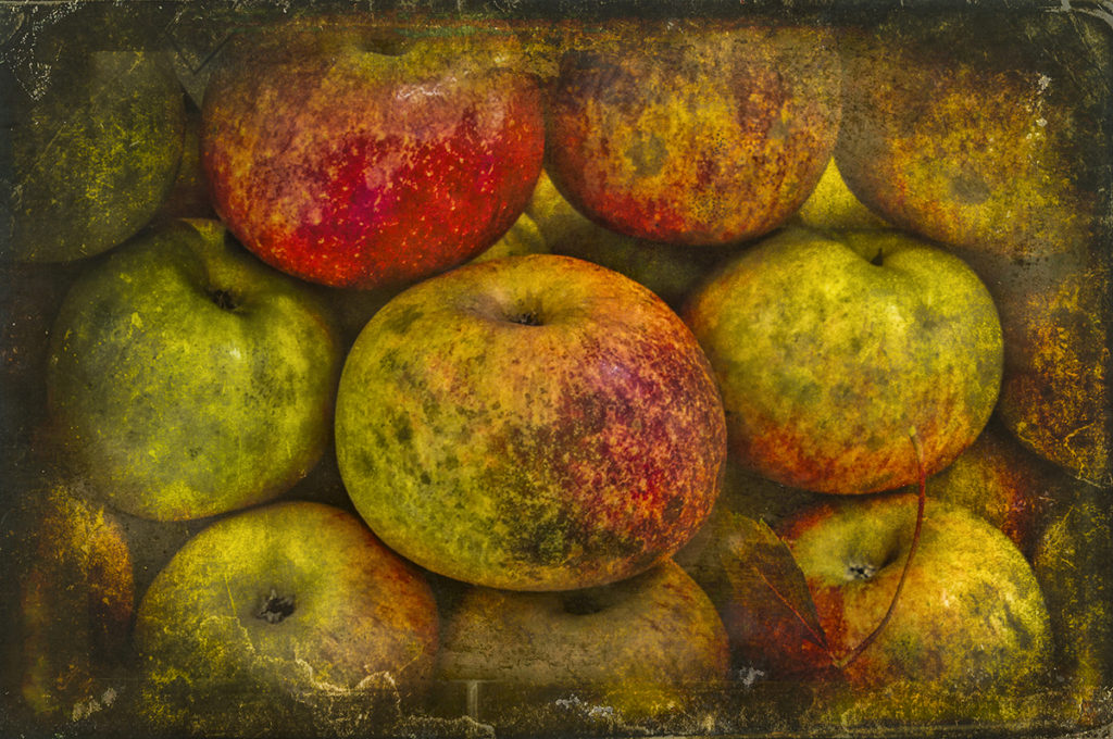 3003 - Bodegon manzanas